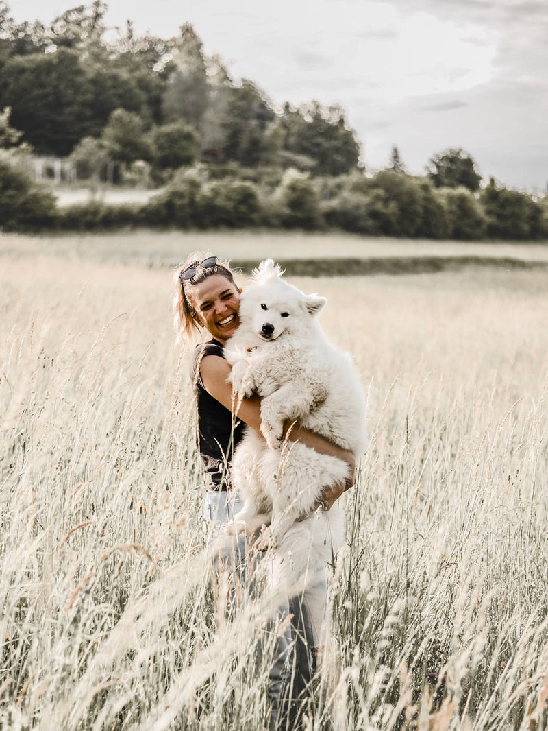 THE G-SPOT: Strip o nevsakdanjih pasjih prigodah