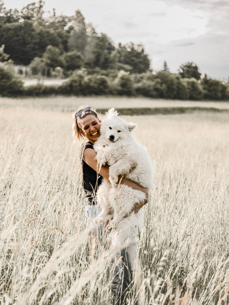 Kdaj ima največ psov rojstni dan? Pogledali smo v Gina’s Woofs rojstnodnevno bazo ...