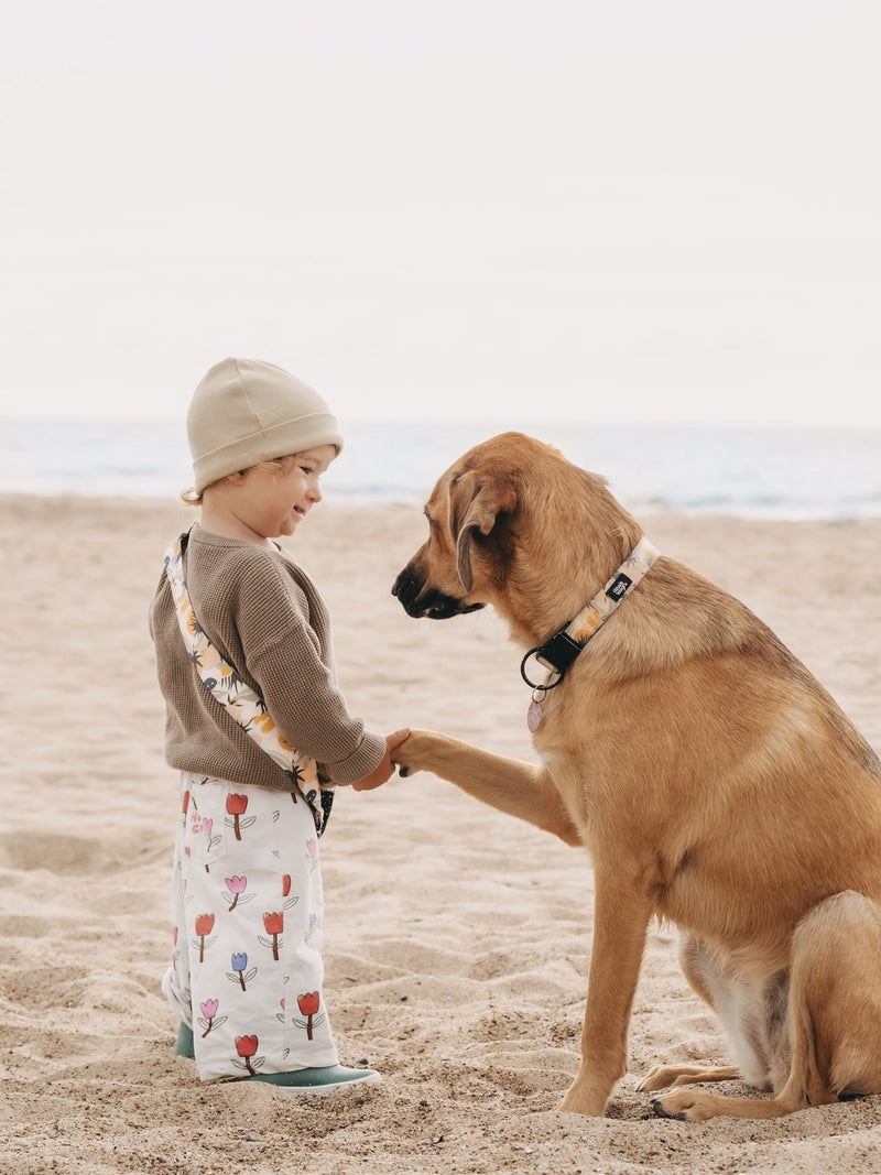 Najbolj priljubljena imena za pse v letu 2024