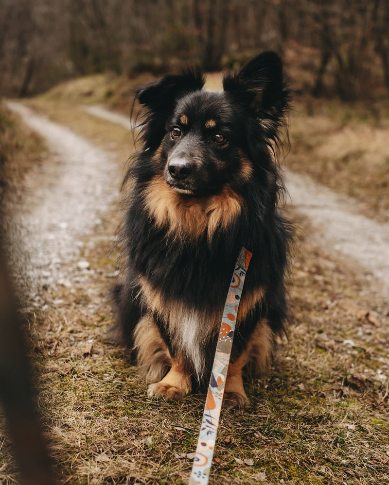 #6 Babi, letos je pa res dobra šunka!