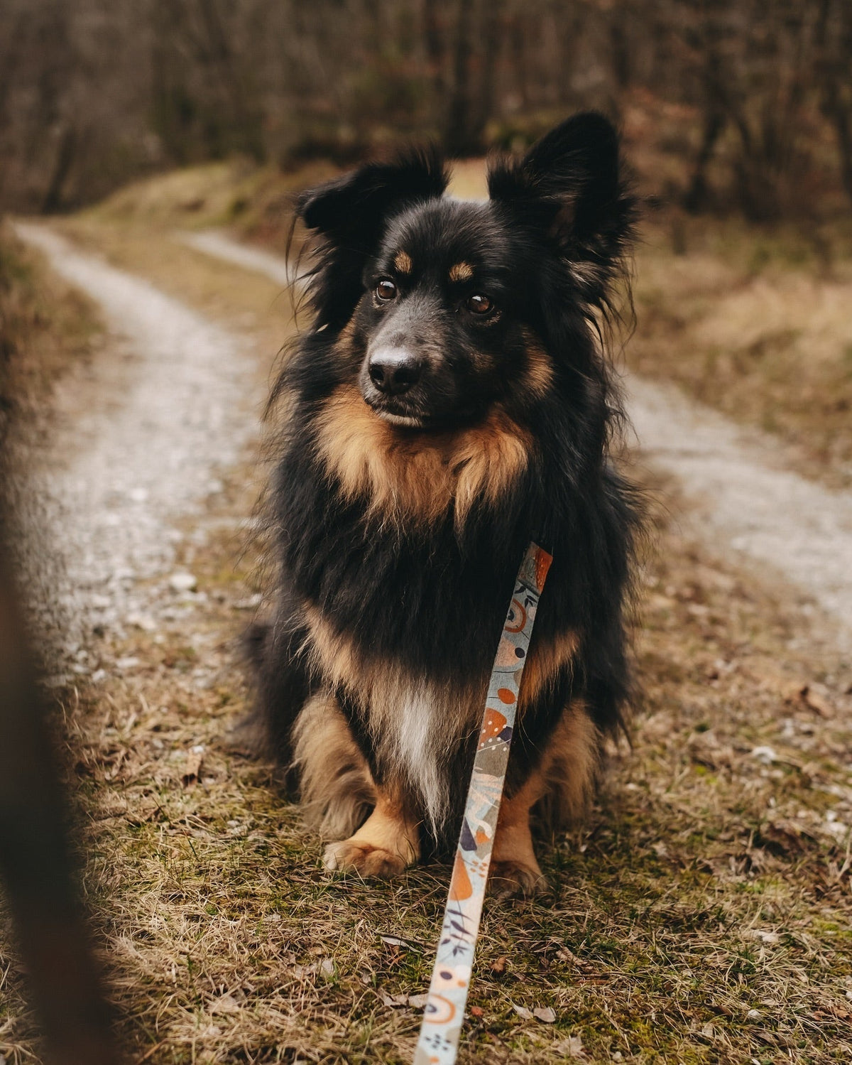 #6 Babi, letos je pa res dobra šunka!