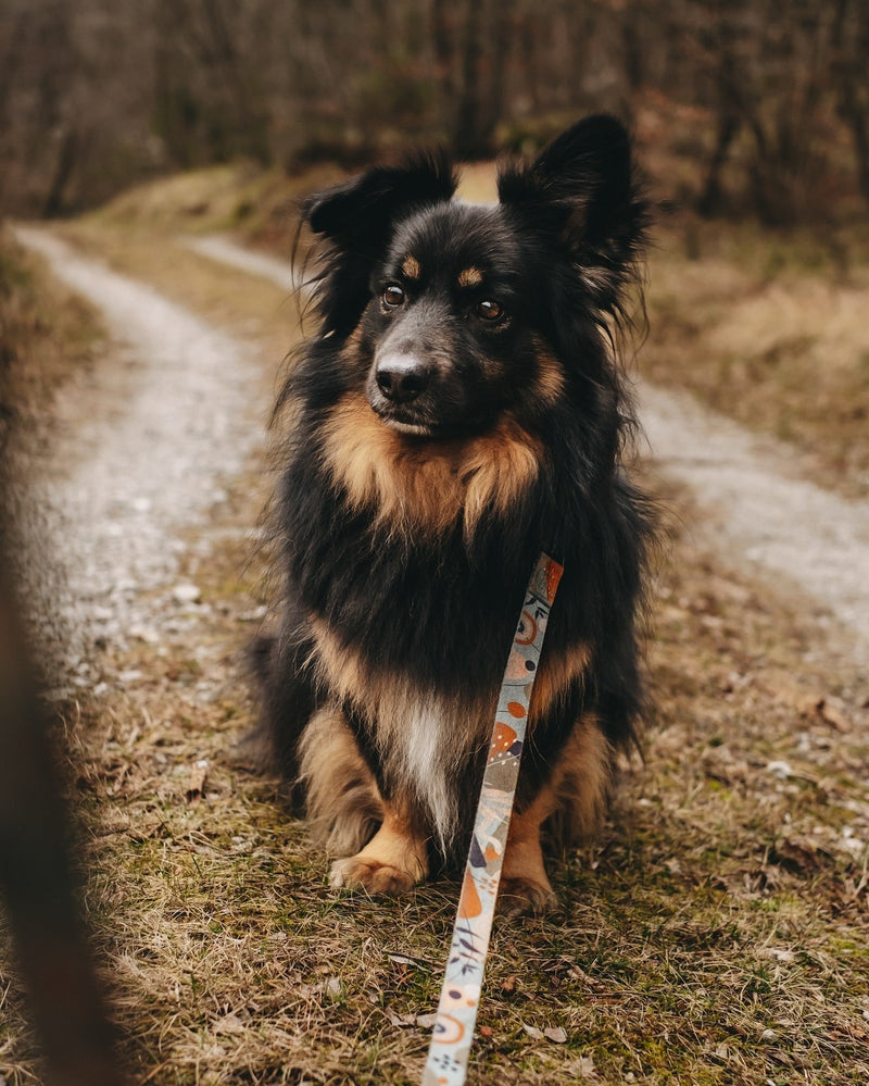 #6 Babi, letos je pa res dobra šunka!