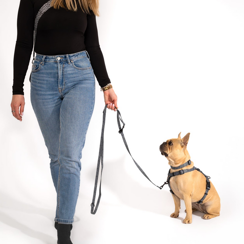 Francoski buldog v črno-beli oprsnici in ovratnici Gina’s Woofs sedi ob skrbnici, ki drži ujemajoči se povodec.