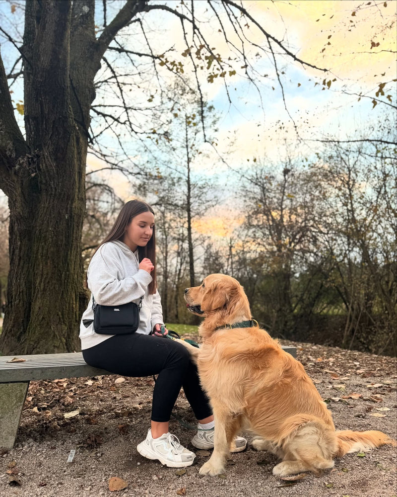 Gina's Woofs: Torbica za Priboljške - Spremeni svoje sprehode v nepozabno doživetje!