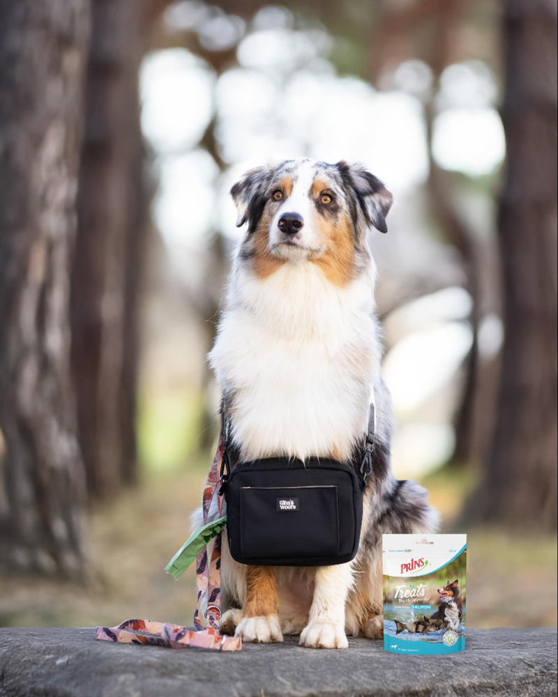 Nominirani smo v izboru Cosmo Pet Awards 2022 ✨