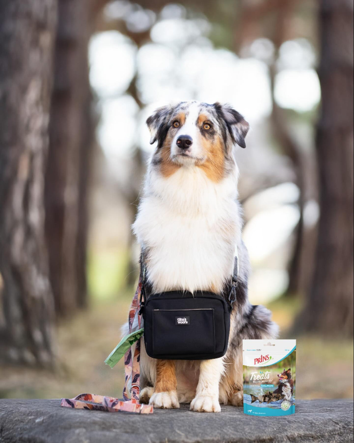 Nominirani smo v izboru Cosmo Pet Awards 2022 ✨