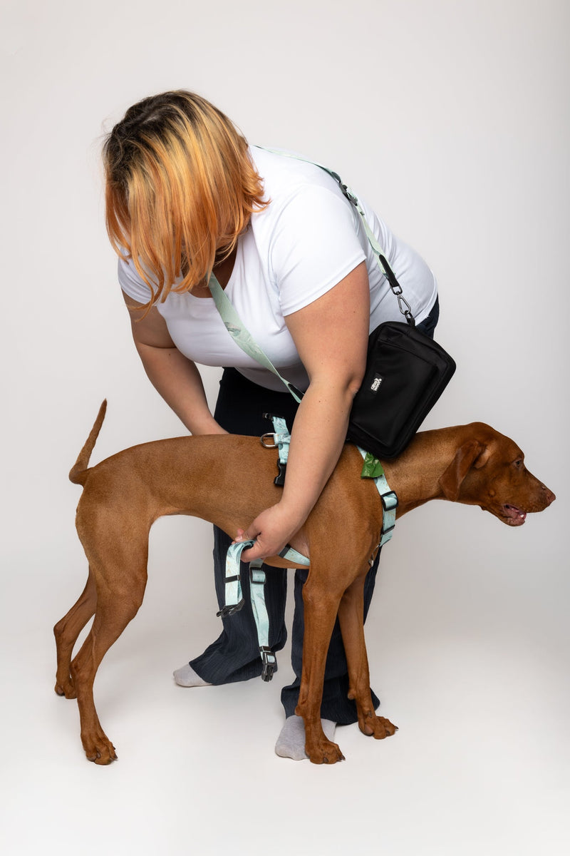 Skrbnica psa namešča oprsnico Gina’s Woofs Wear2 na rjavega psa.