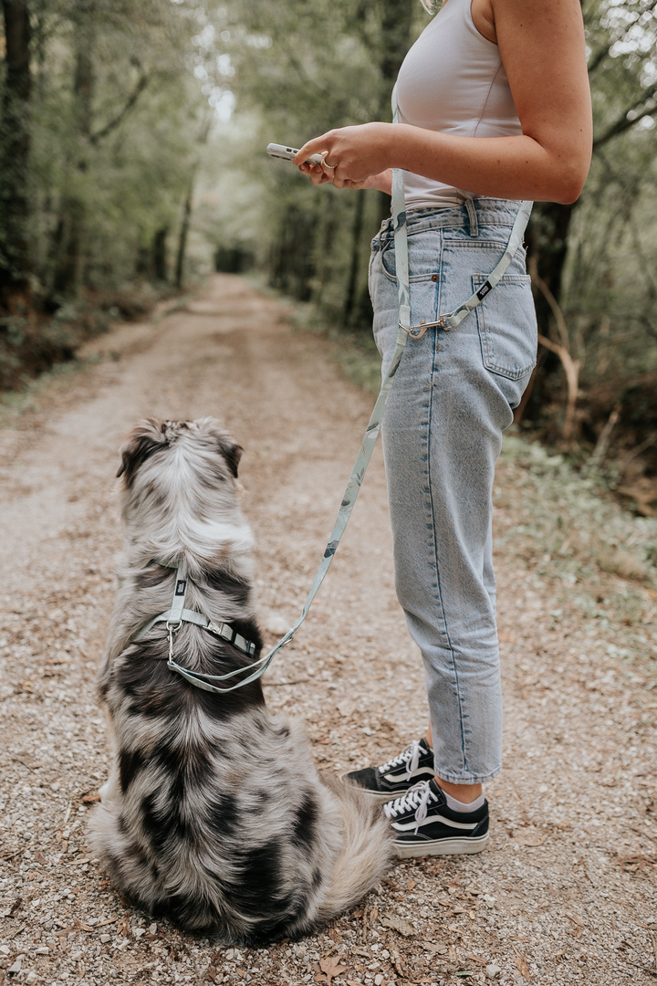 #kolekcija_golden-woods