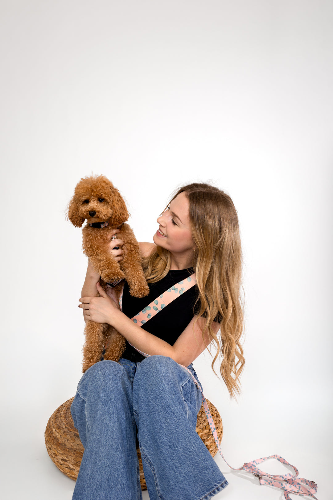 #pas-za-torbico_eucalyptica