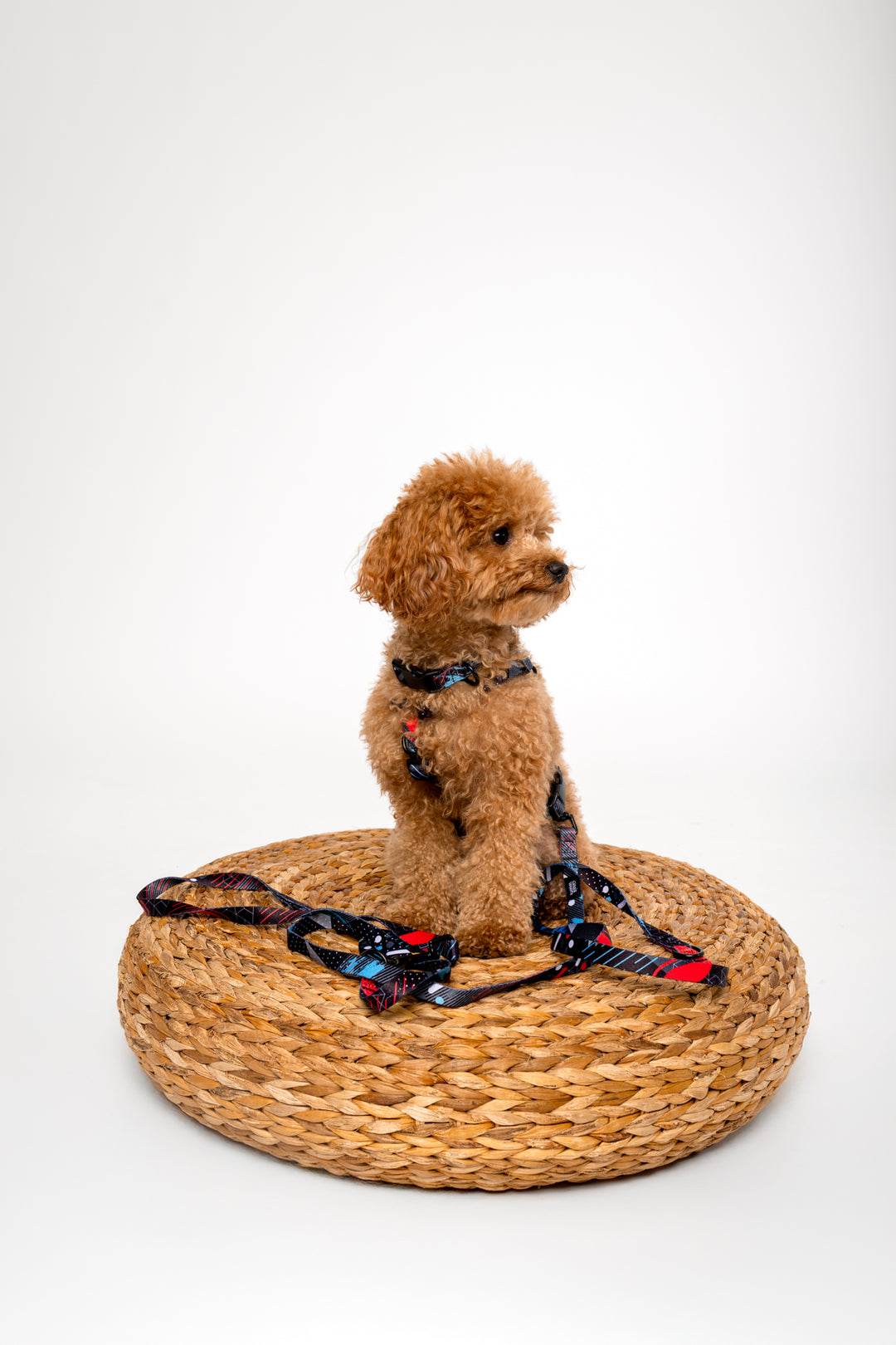 #kolekcija_motion-stride