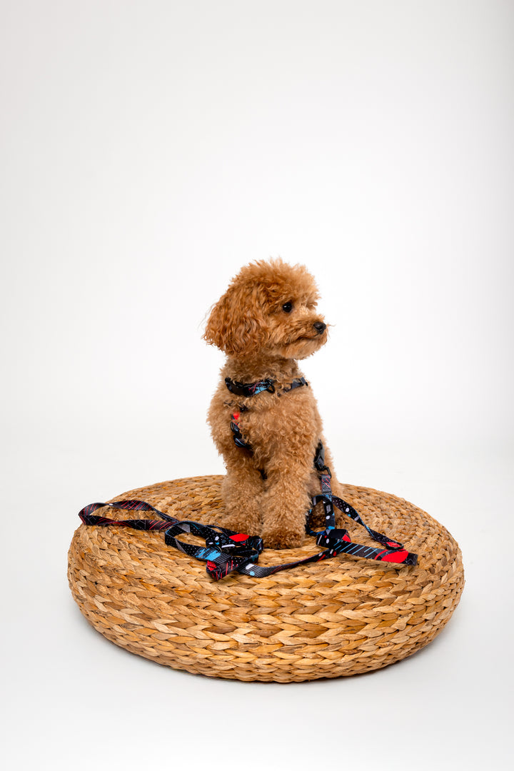 #kolekcija_motion-stride