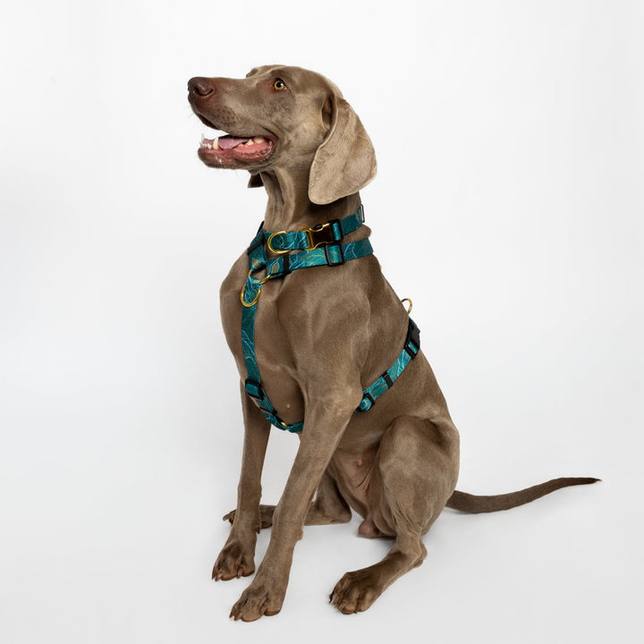 #kolekcija_golden-woods