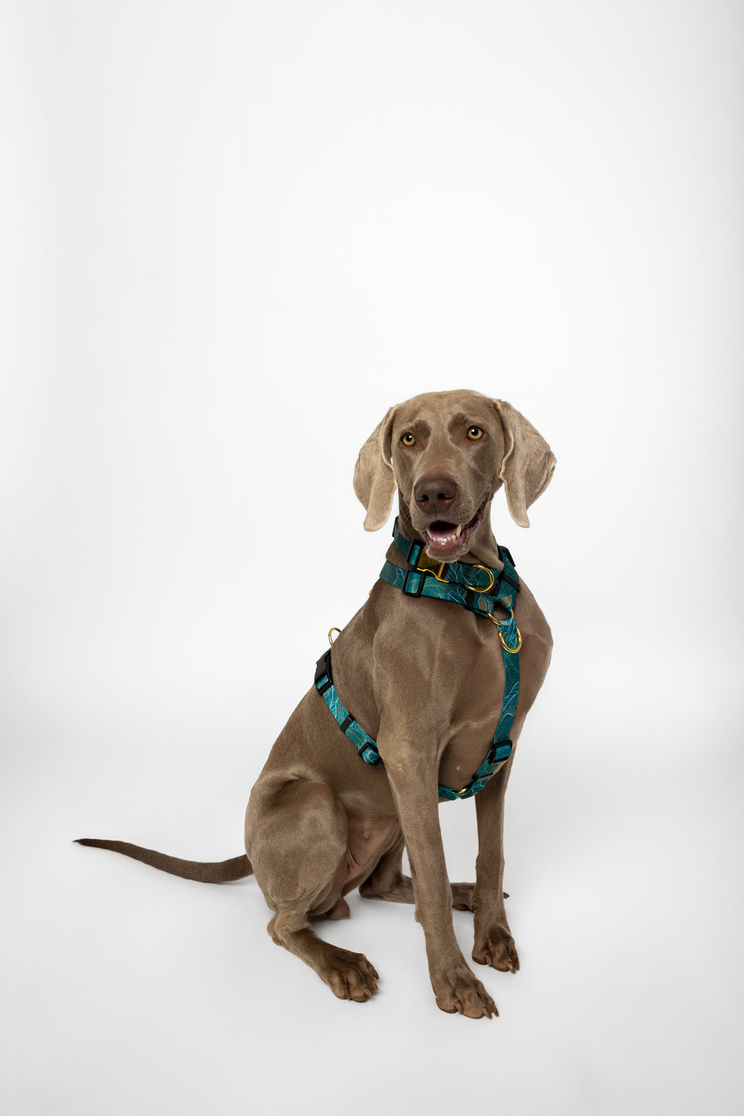 #kolekcija_golden-woods