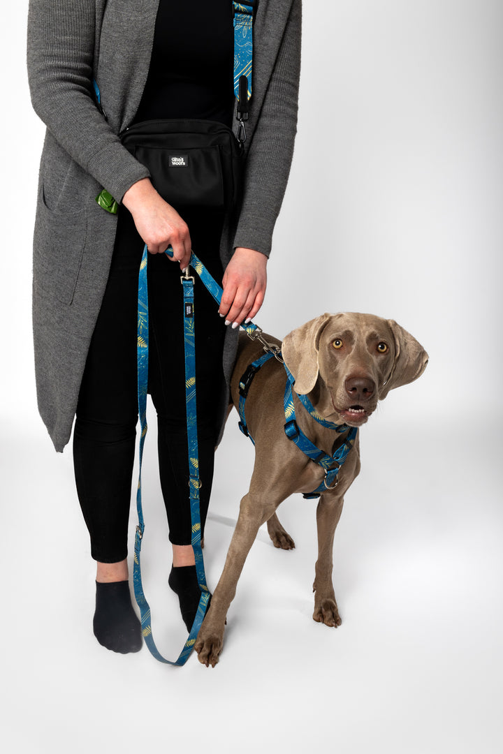 #pas-za-torbico_fern-bue