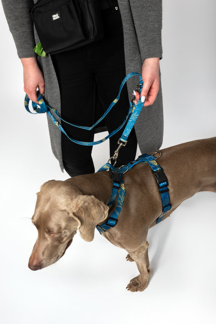 #kolekcija_fern-blue