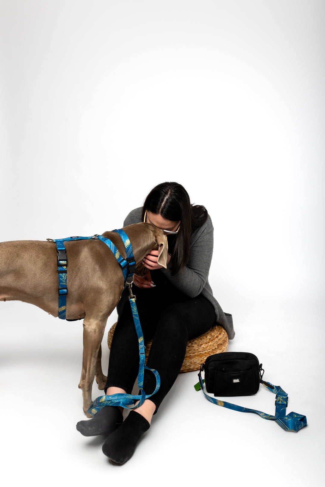 #pas-za-torbico_fern-blue