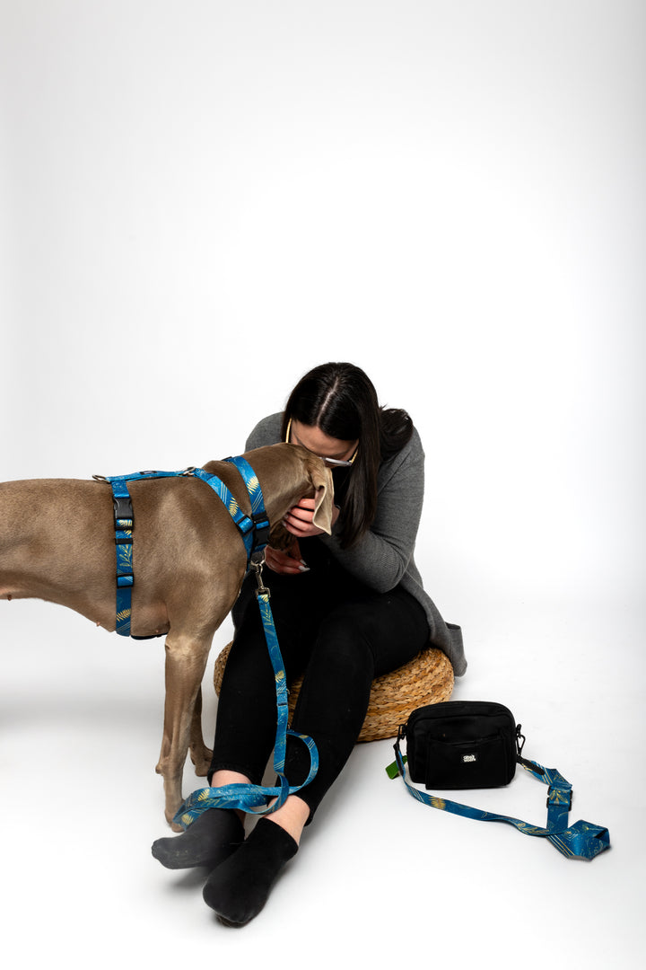 #pas-za-torbico_fern-blue