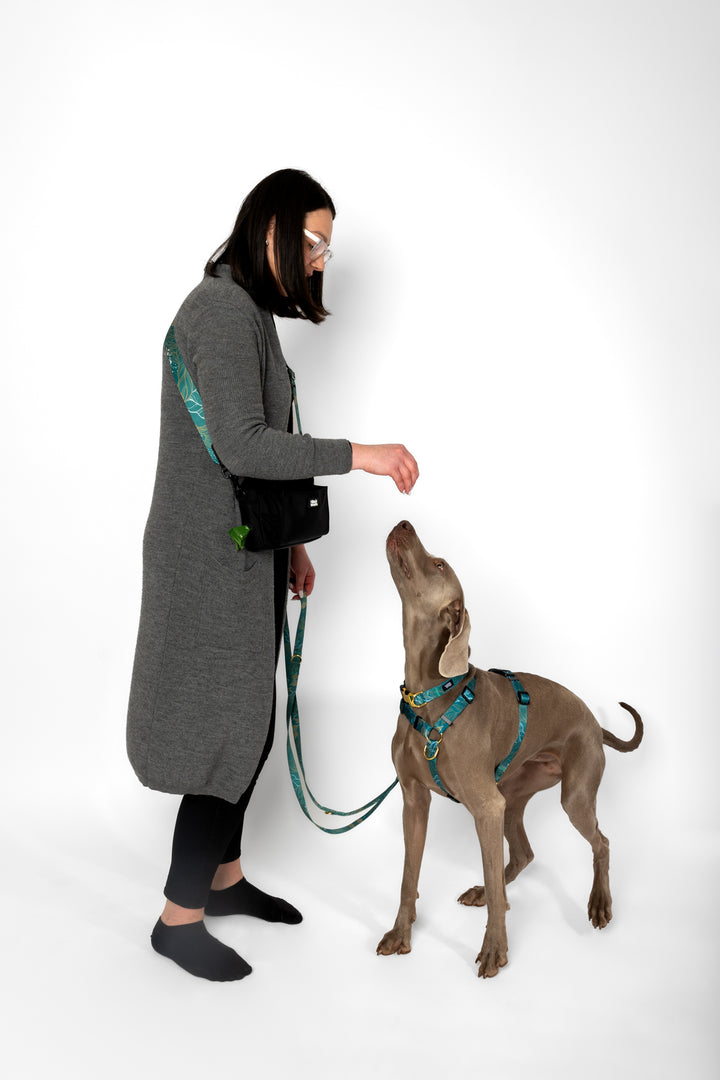 #pas-za-torbico_golden-woods