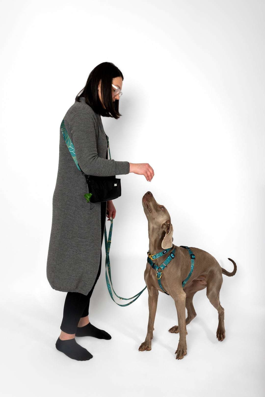 #pas-za-torbico_golden-woods