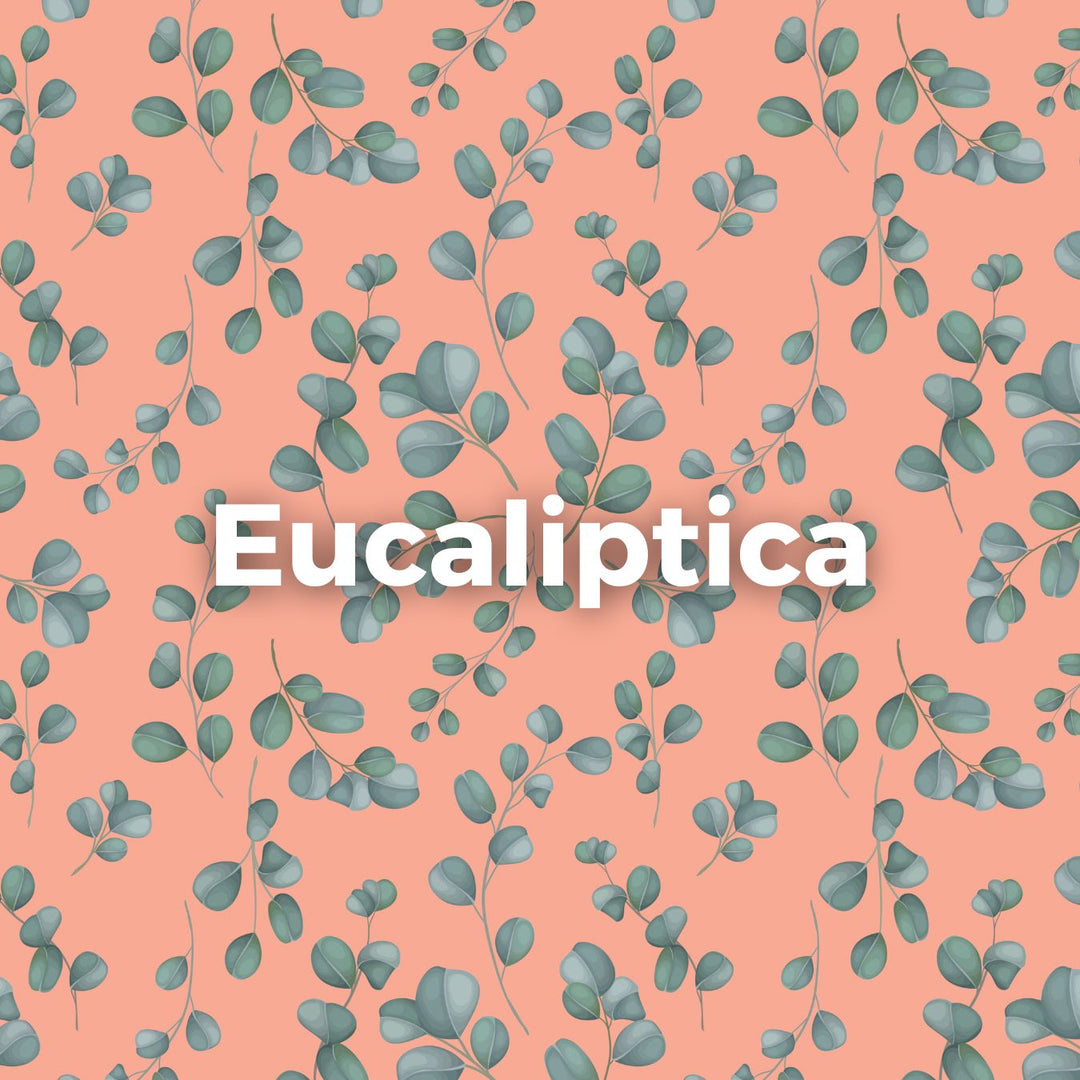 #pas-za-torbico_eucalyptica