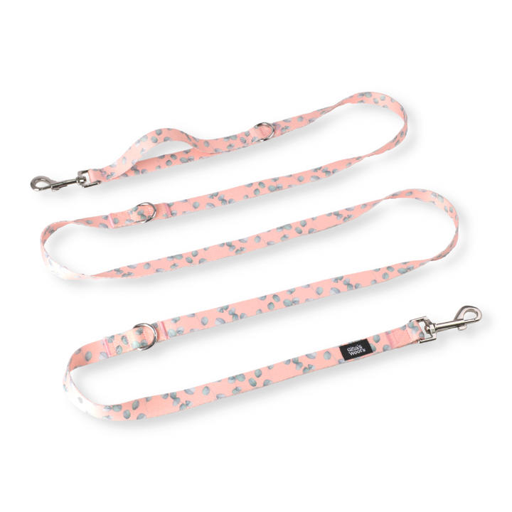 #kolekcija_eucalyptica