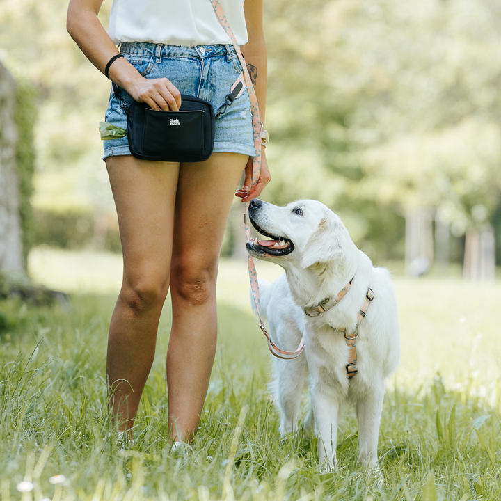 #kolekcija_eucalyptica