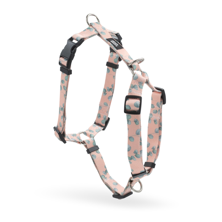 Komplet Wear2 - Eucalyptica