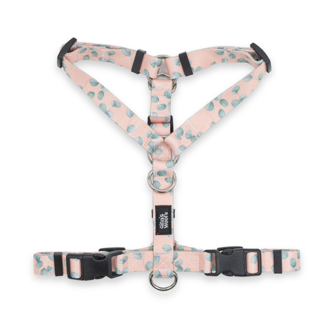 #kolekcija_eucalyptica