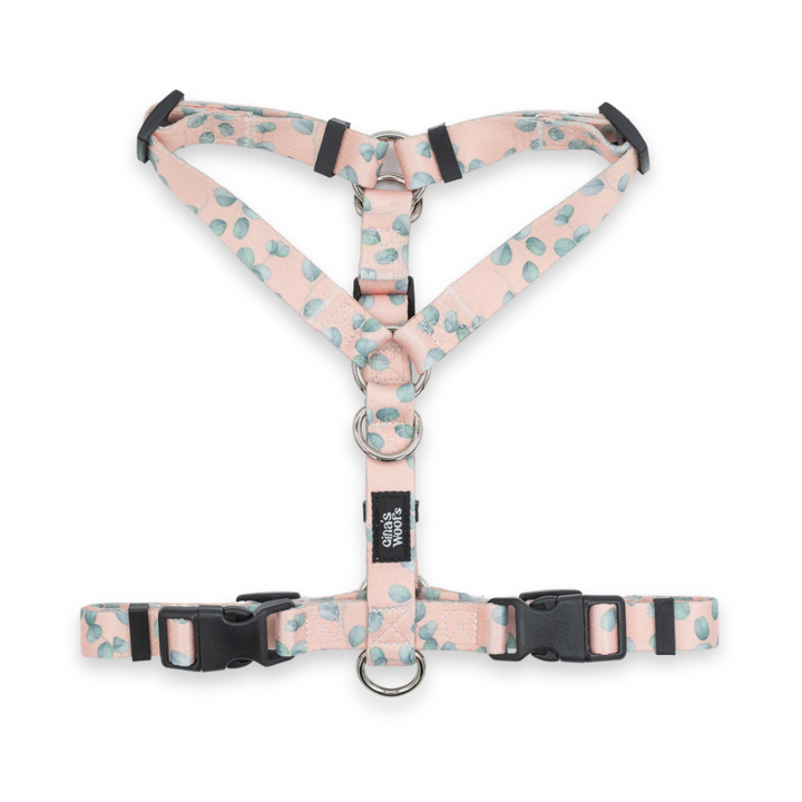 #kolekcija_eucalyptica