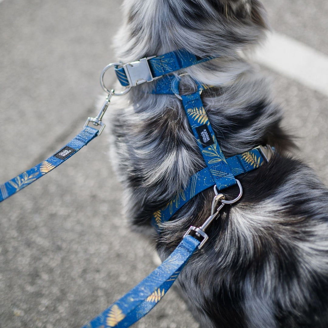 Komplet Wear2 - Fern Blue