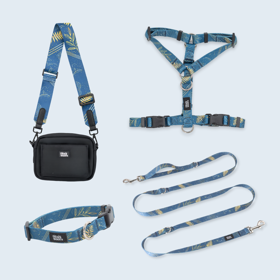 Komplet Wear2 - Fern Blue