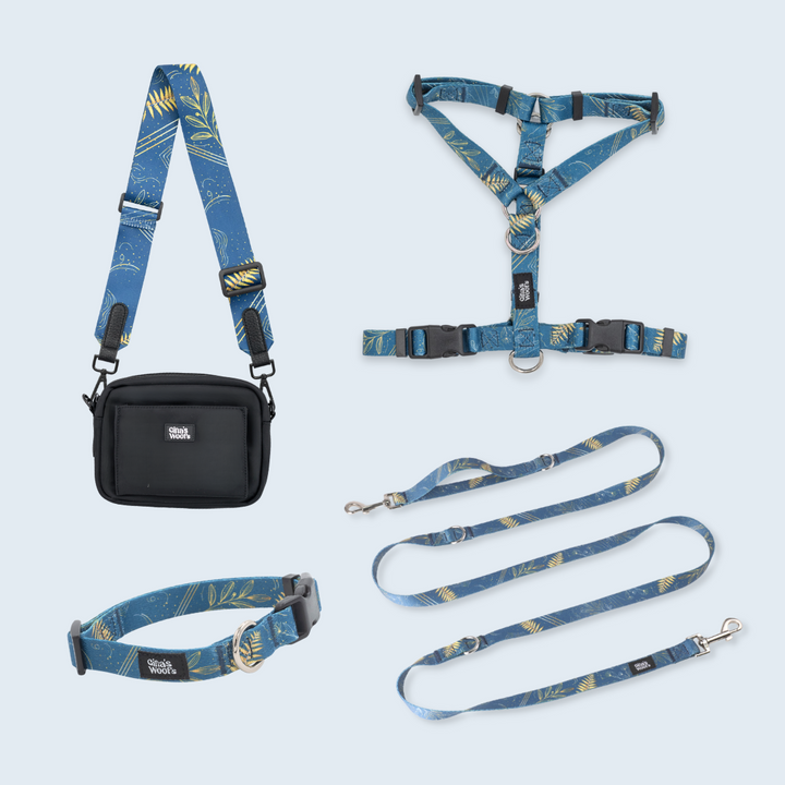 Komplet Wear2 - Fern Blue