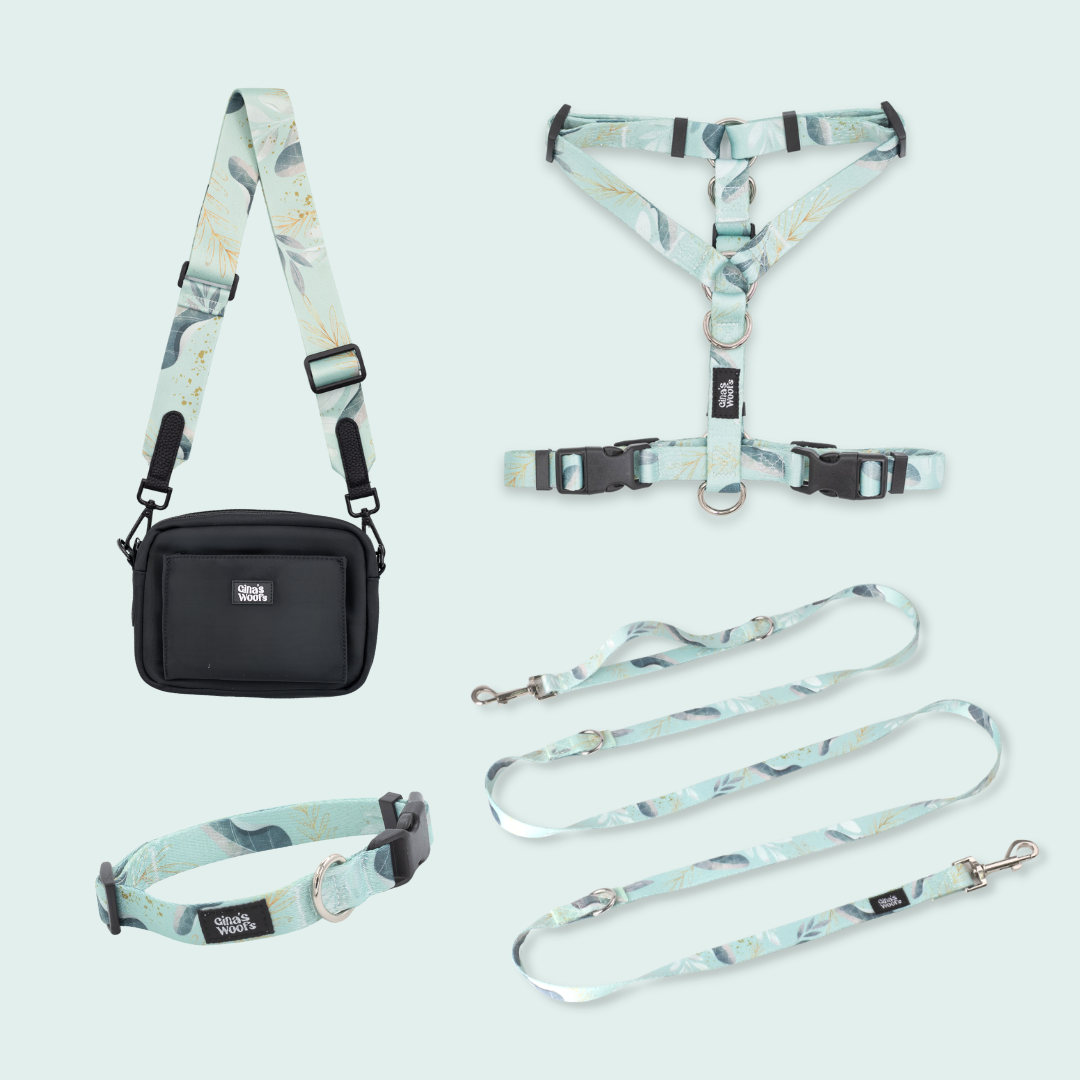 Komplet Wear2 - Fever Fetch