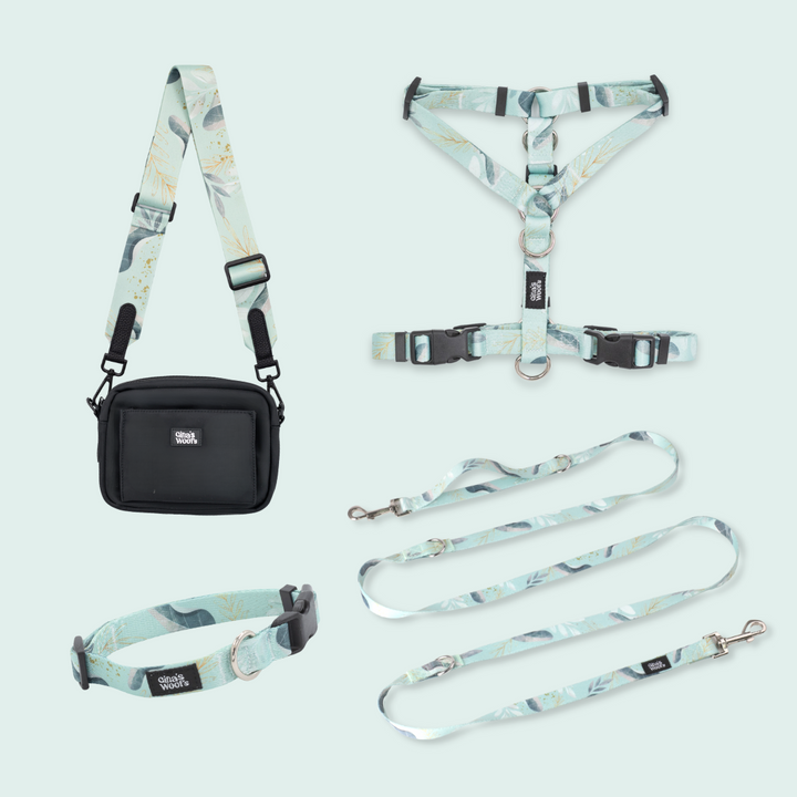 Komplet Wear2 - Fever Fetch