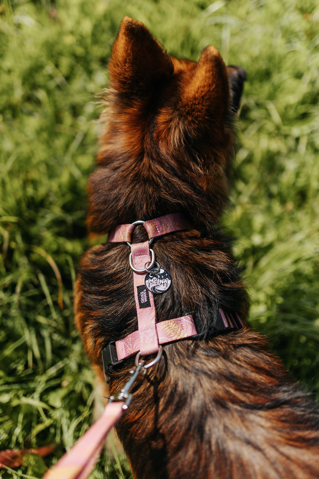 #kolekcija_fern-pink