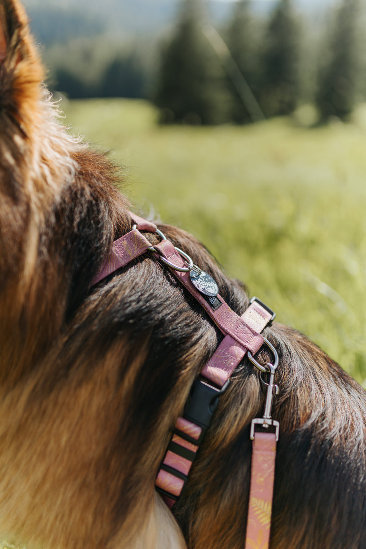 #kolekcija_fern-pink