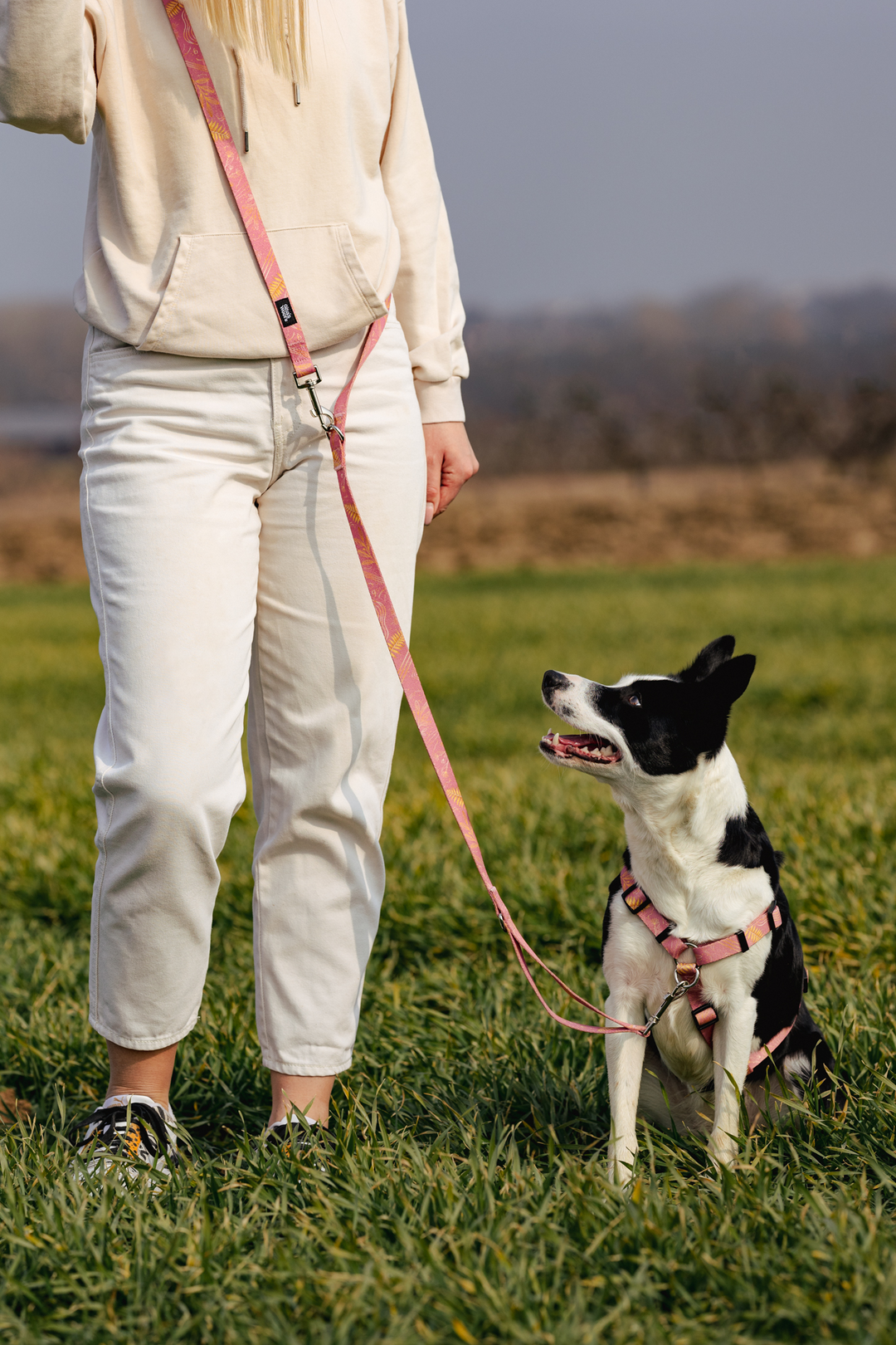 #kolekcija_fern-pink