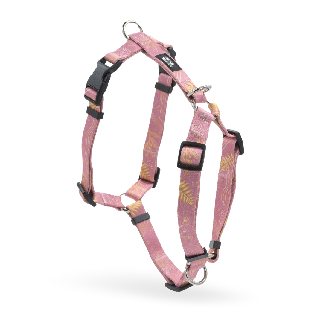 #kolekcija_fern-pink