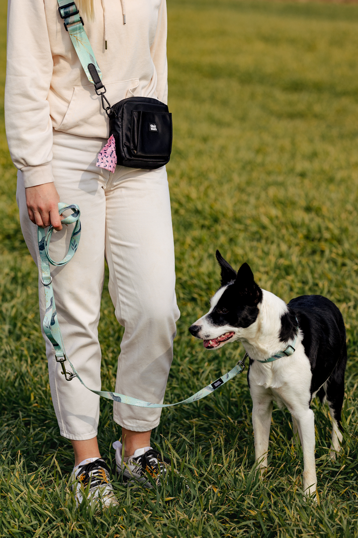 #kolekcija_fever-fetch