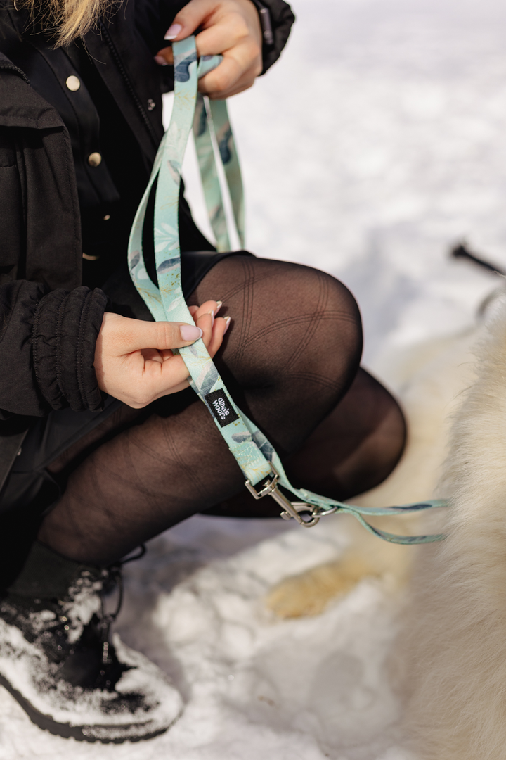 #kolekcija_fever-fetch