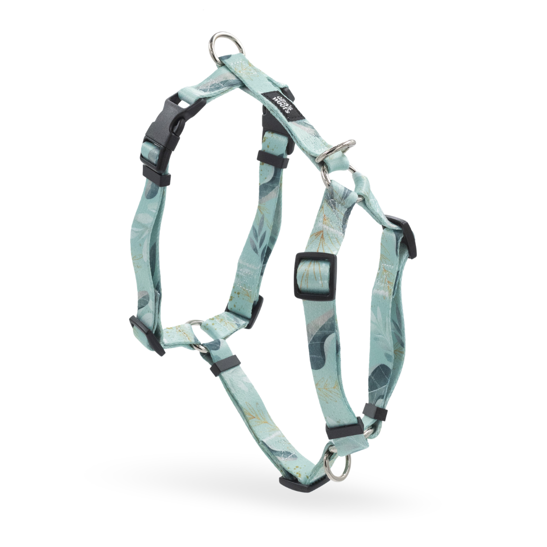 #kolekcija_fever-fetch