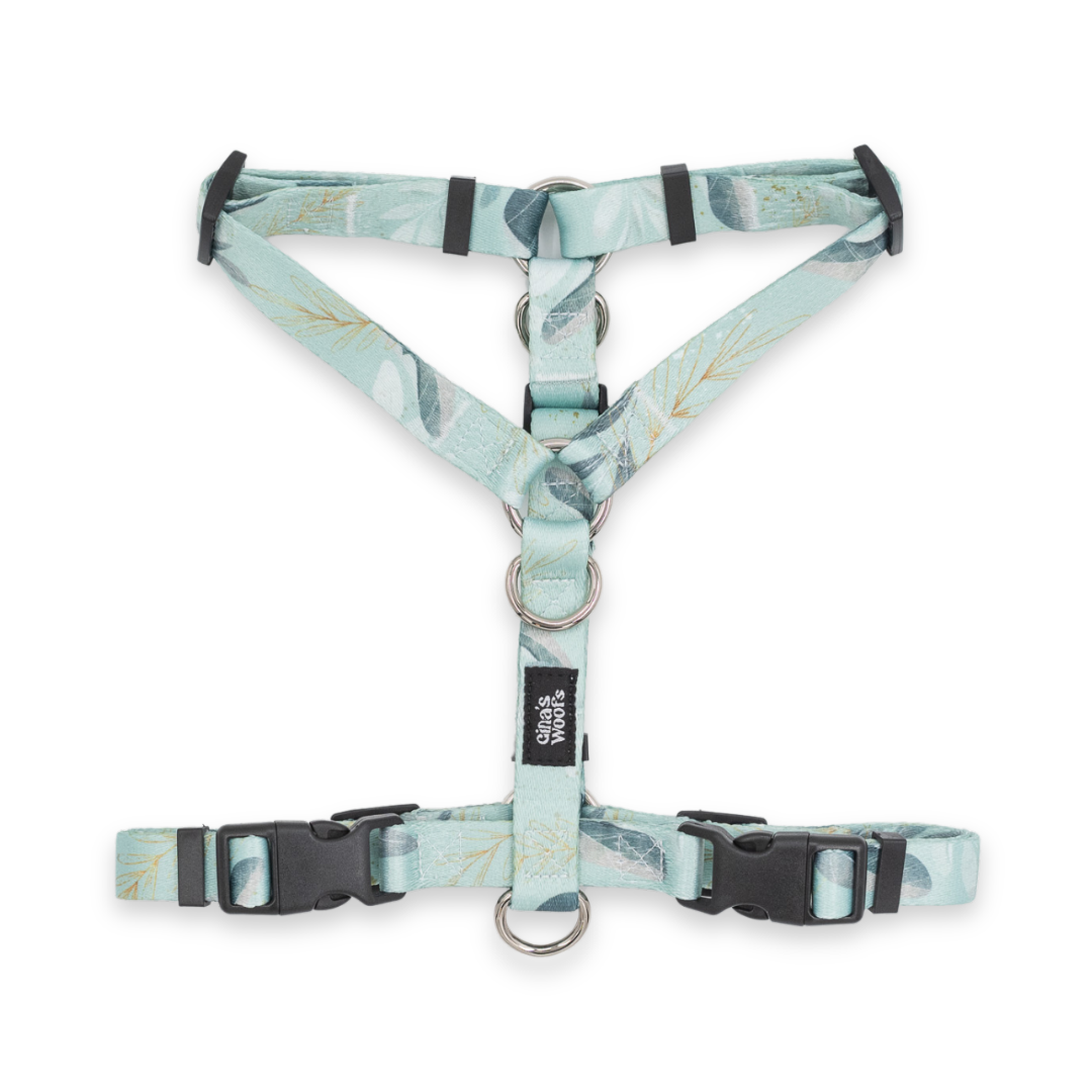 #kolekcija_fever-fetch