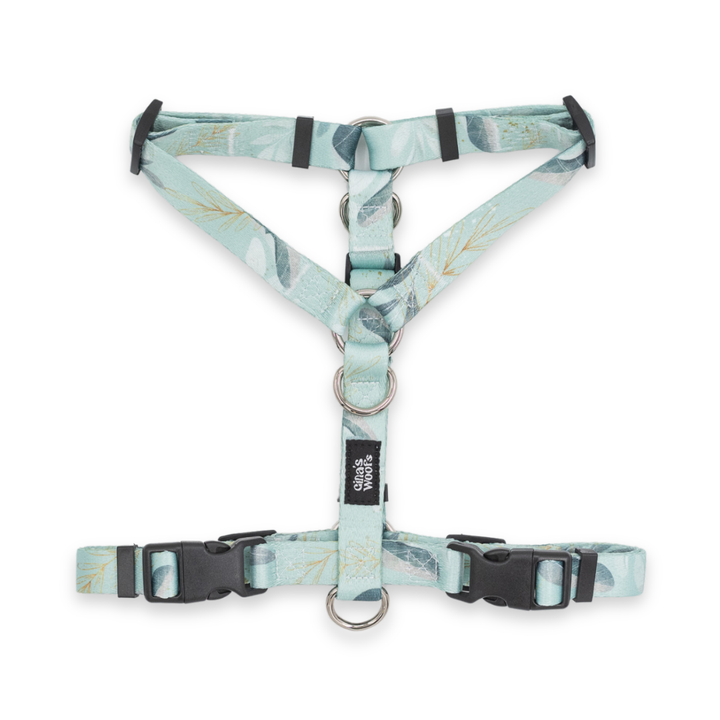 #kolekcija_fever-fetch