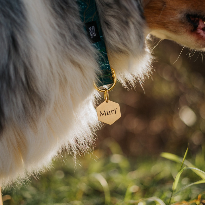 ID Obesek - Hexa GOLD