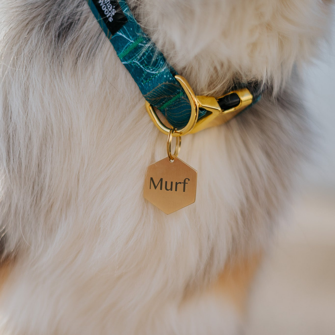 ID Obesek - Hexa GOLD