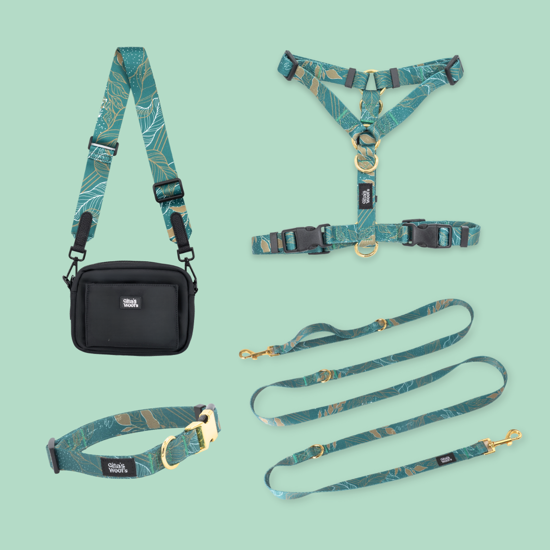 Komplet Wear2 - Golden Woods