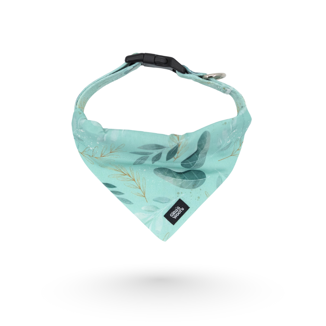 #kolekcija_fever-fetch