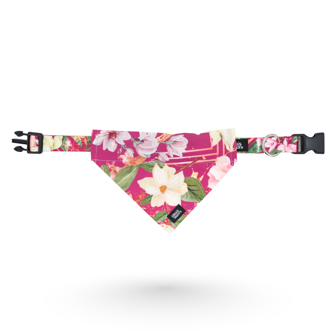 #kolekcija_magnolia-blossom