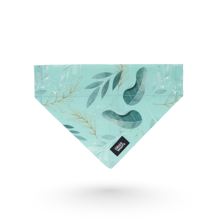 #kolekcija_fever-fetch