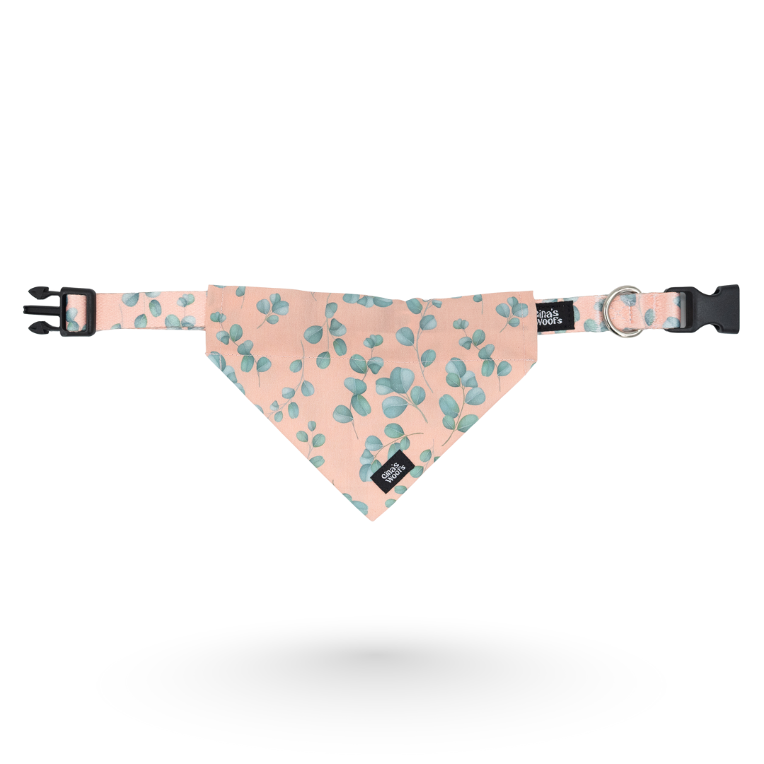 #kolekcija_eucalyptica